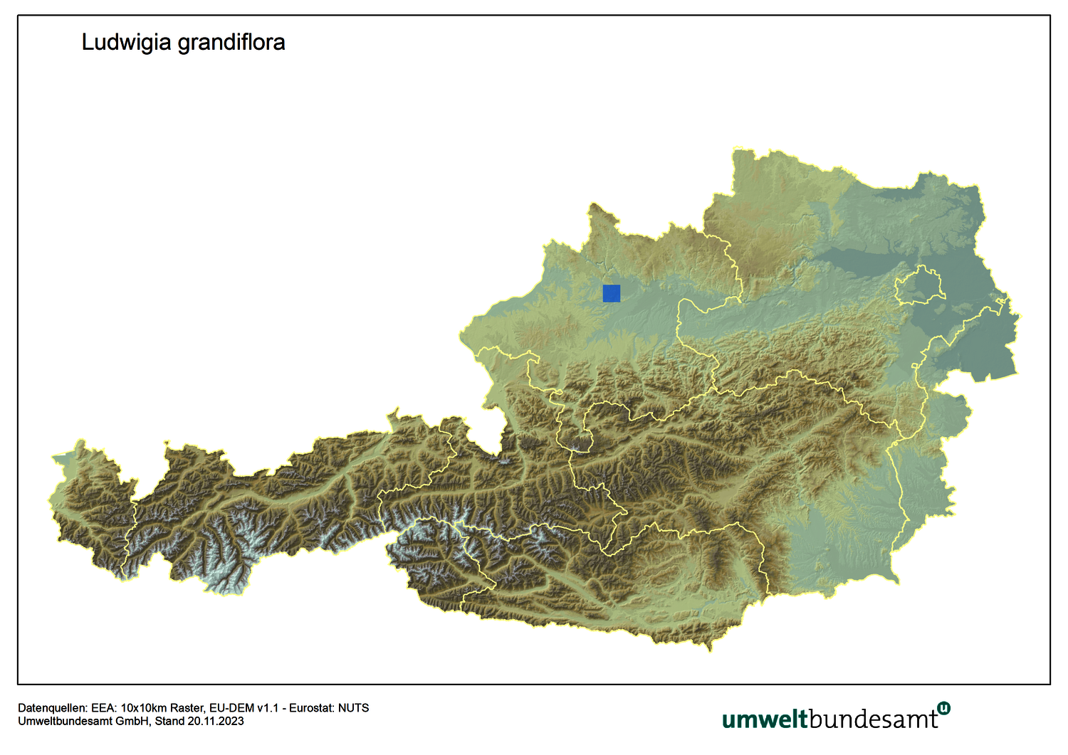Die Karte zeigt die Verbreitung des Großblütigen Heusenkrauts in Österreich.
