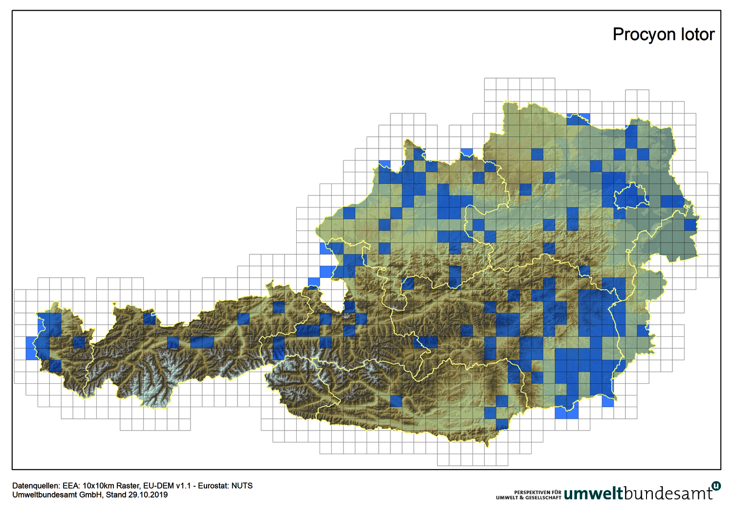 Karte zeigt die Verbreitung des Waschbären in Österreich (Nachweise bis 2019).