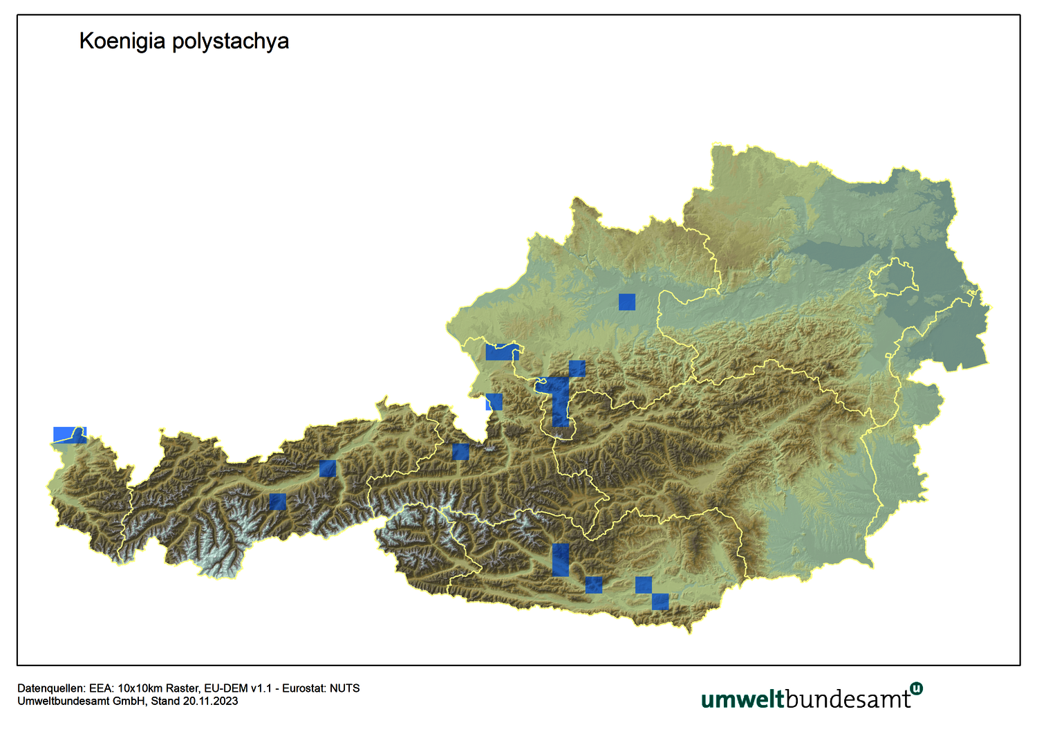 Die Karte zeigt die Verbreitung des Vielährigen-Knöterichs in Österreich.
