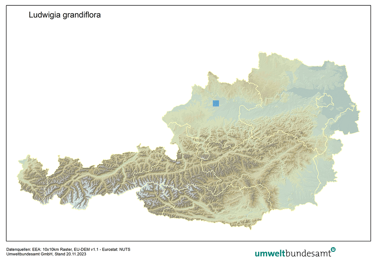 Verbreitung des Großblütigen Heusenkrauts in Österreich. Die Karte zeigt die Verbreitung des Großblütigen Heusenkrauts in Österreich.