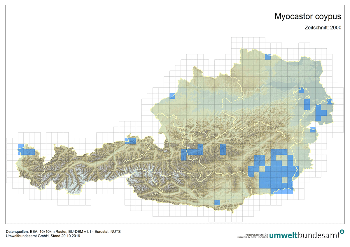 Die Karte zeigt die Verbreitung des Nutrias in Österreich (Nachweise zwischen 2000 und 2019).