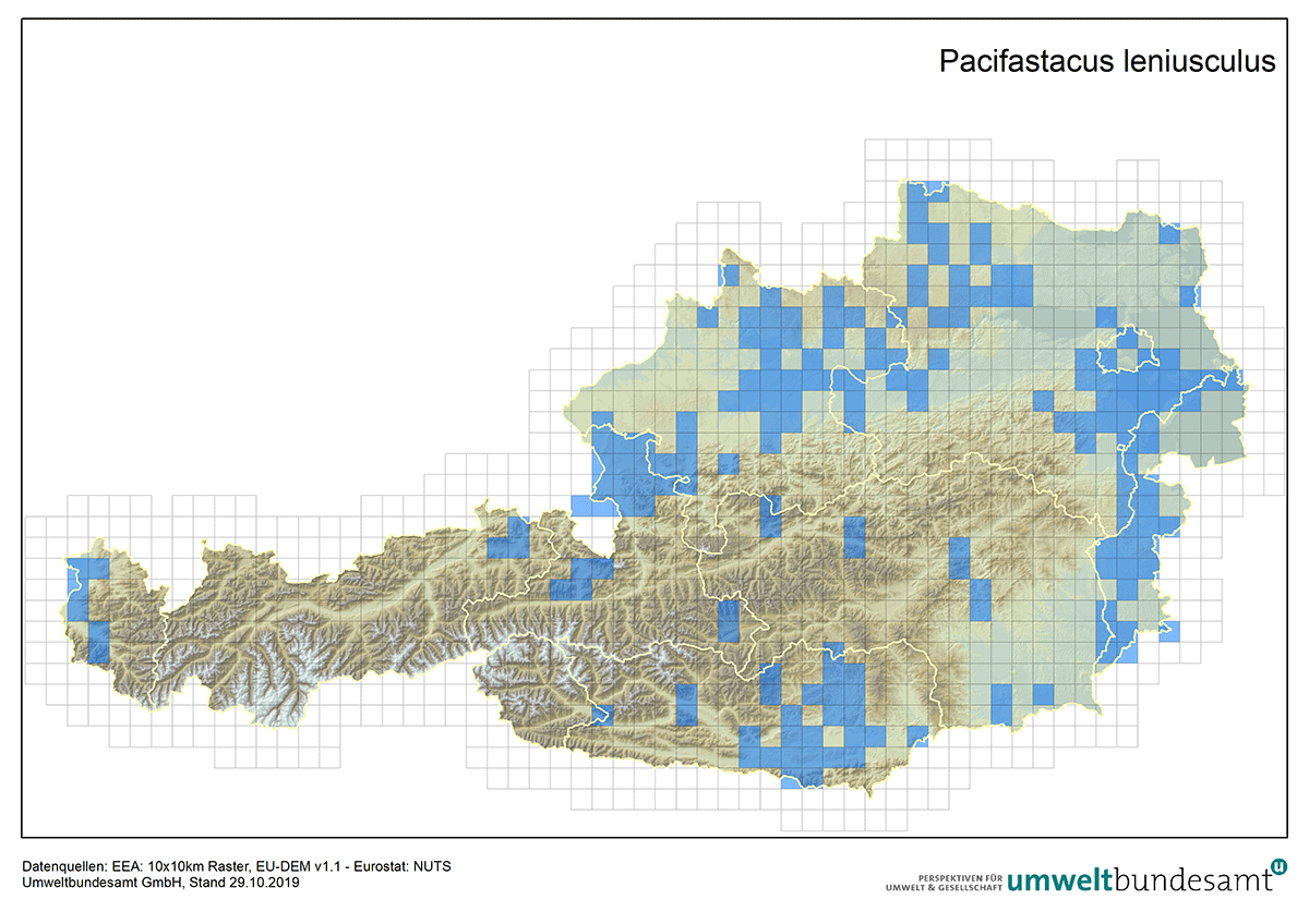 Verbreitung des Signalkrebses in Österreich (Nachweise bis 2019). Die Karte zeigt die Verbreitung des Signalkrebses in Österreich (Nachweise bis 2019).