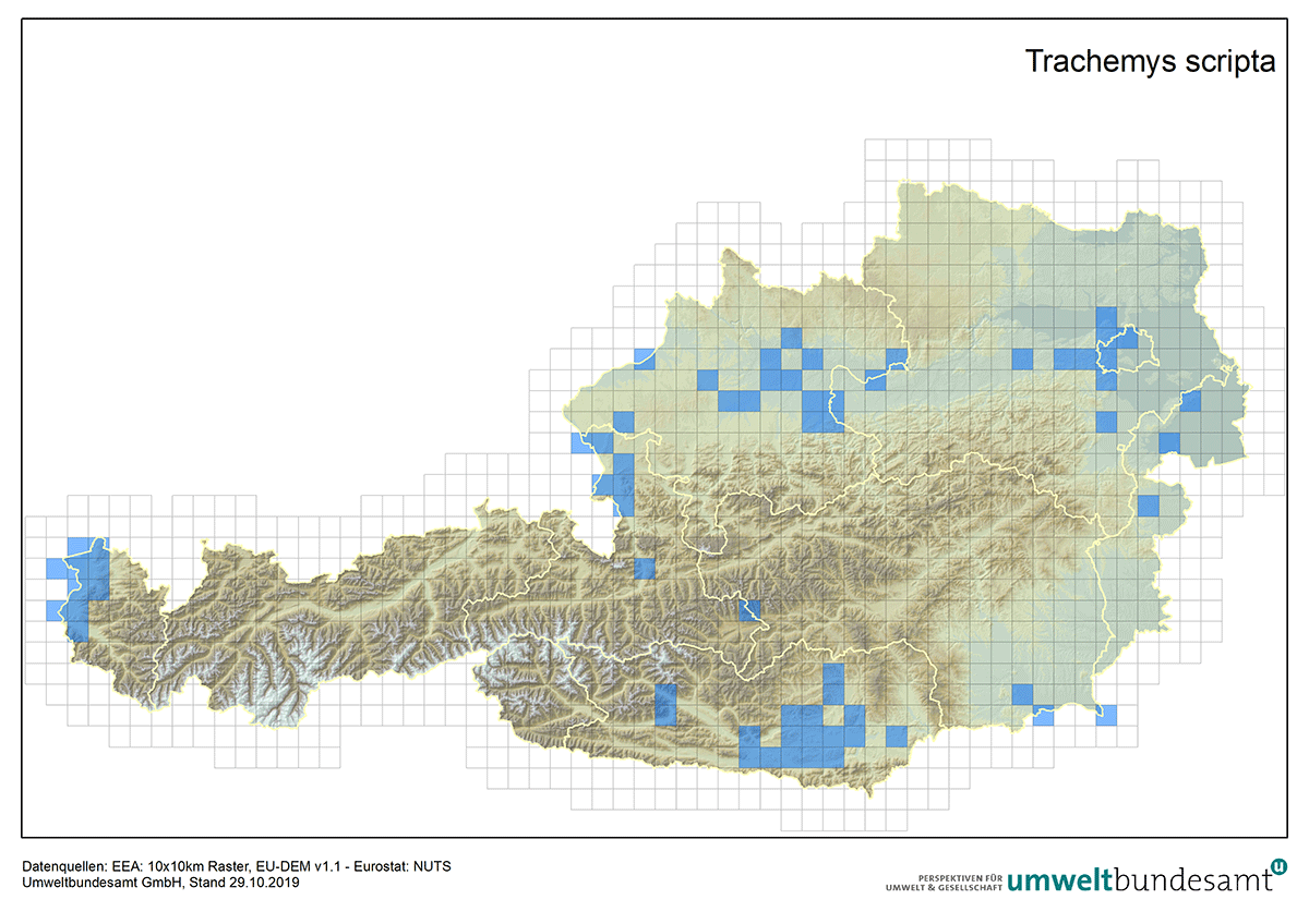 Die Karte zeigt die Verbreitung der Nordamerikanischen Schmuckschildkröte in Österreich (Nachweise bis 2019).